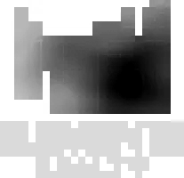 Project Logo